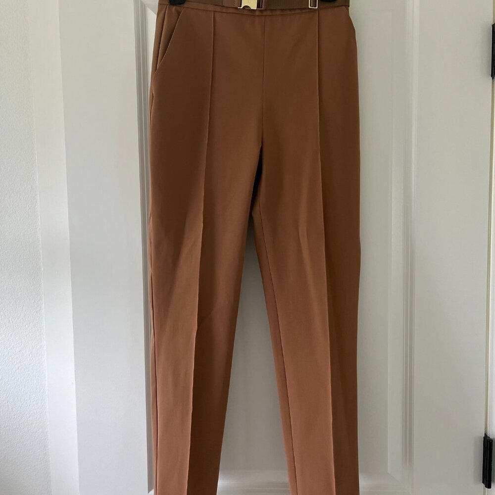 Gorgeous Elisabetta Franchi Pants In Tan